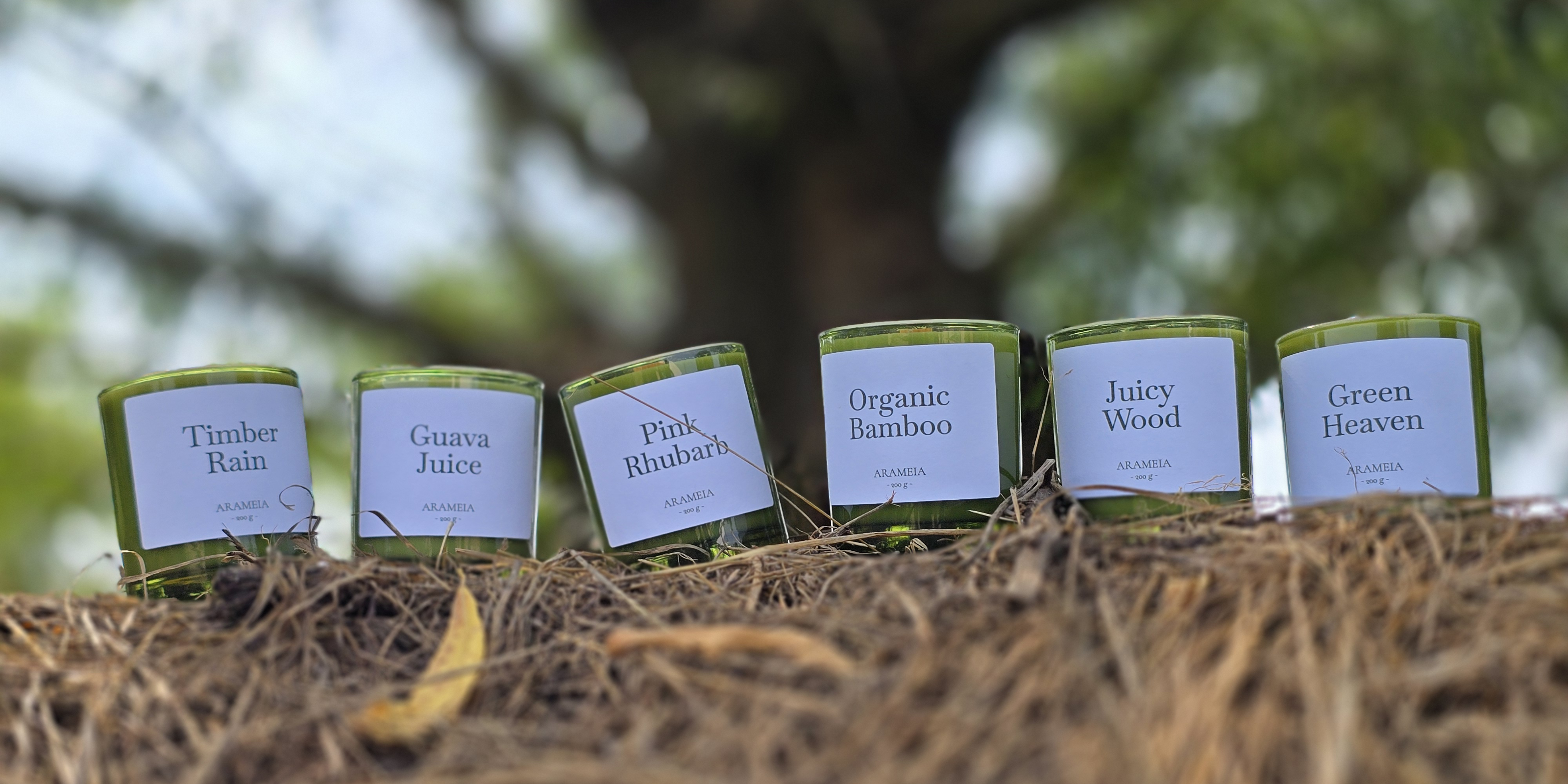The Monsoon Collection