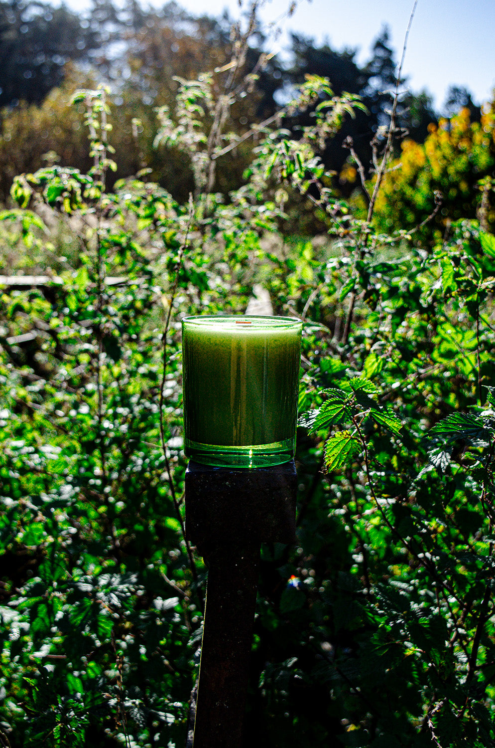 Thyme Candle