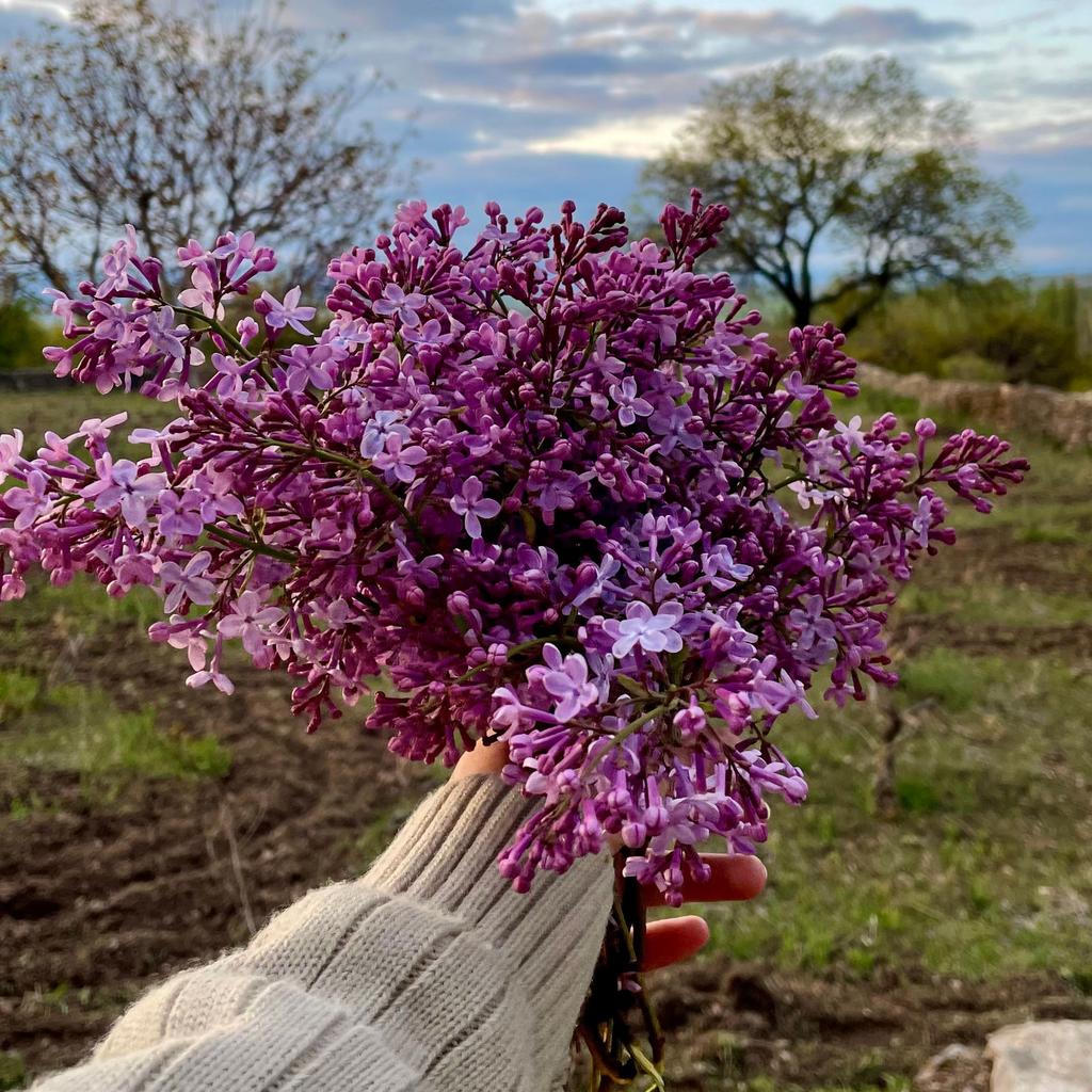 Lilac Blossom Candle