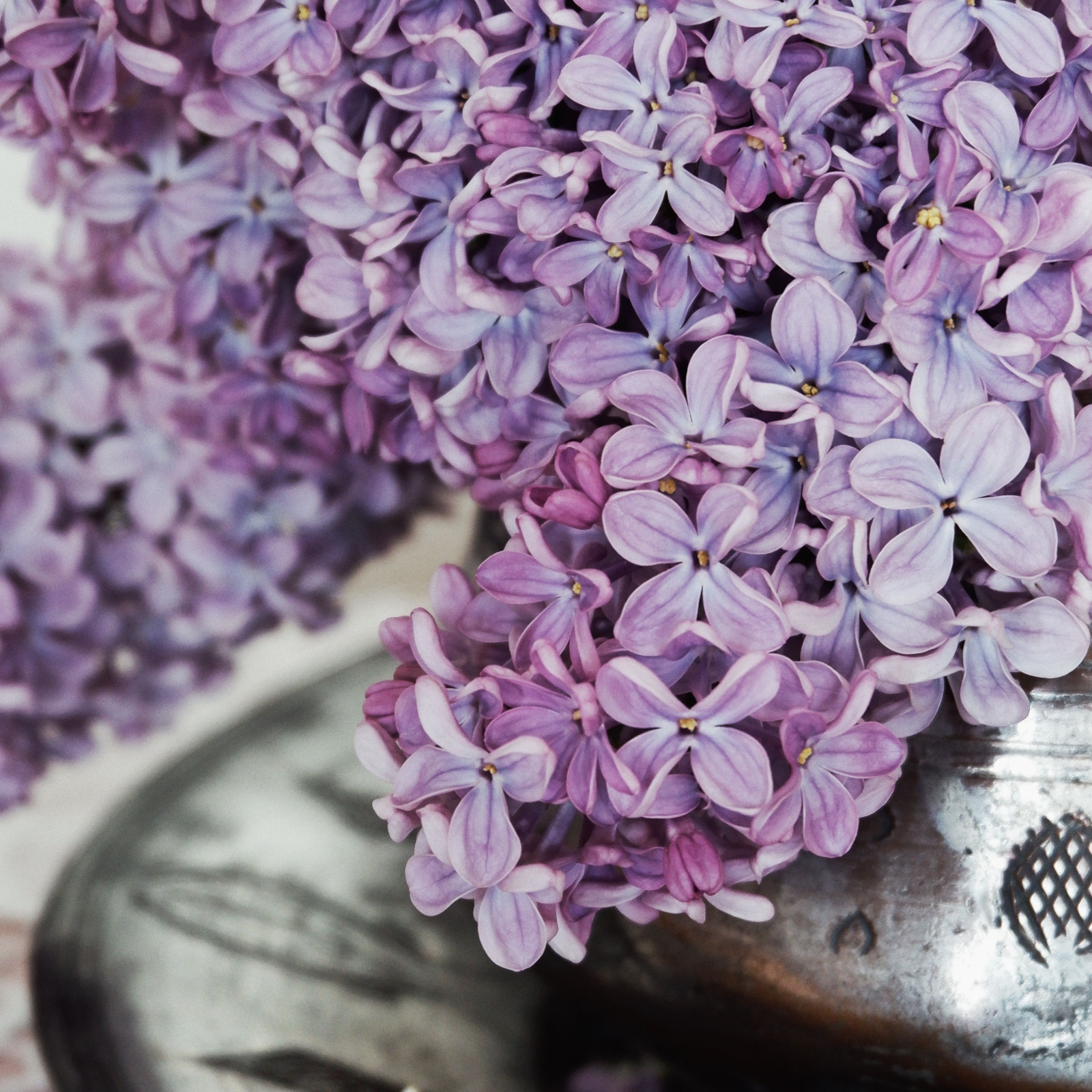Lilac Blossom Candle