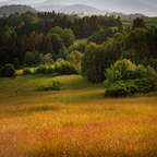 Summer Meadow Candle