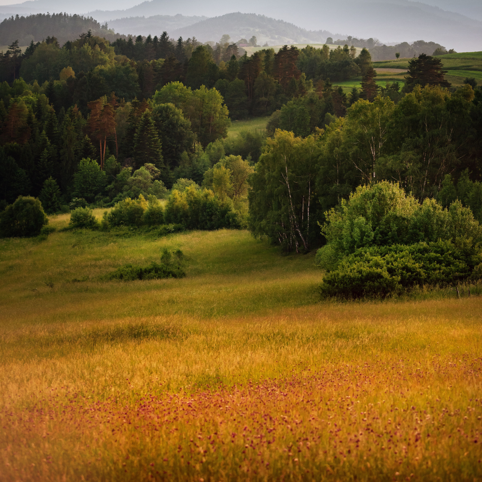 Summer Meadow Candle