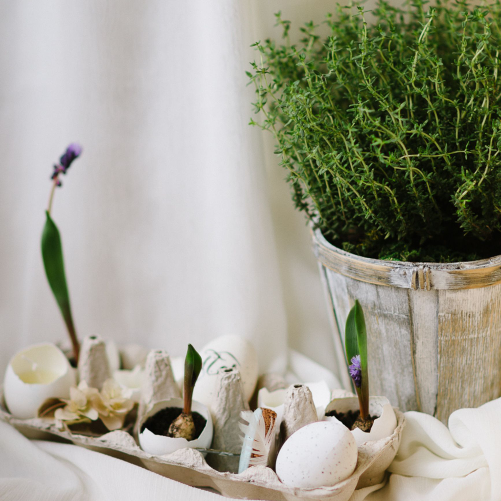 Thyme Candle