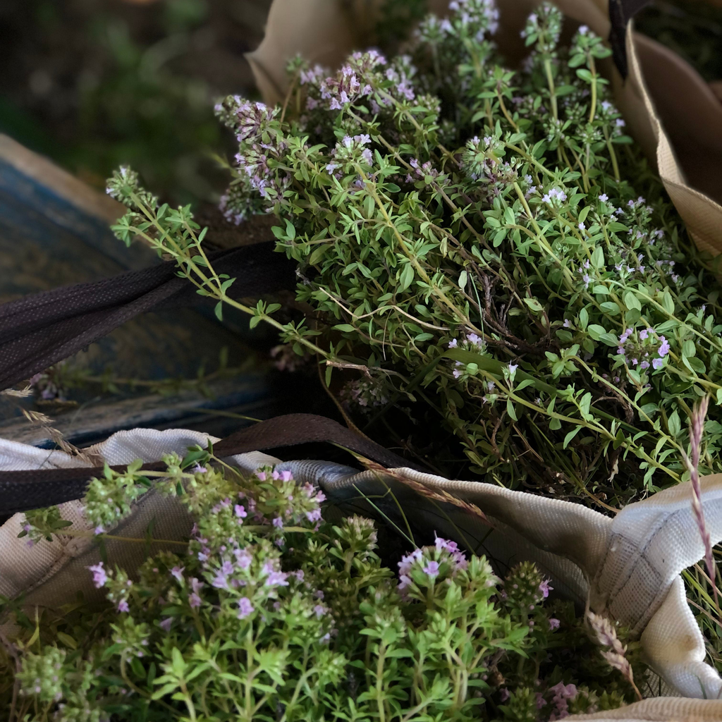 Thyme Candle