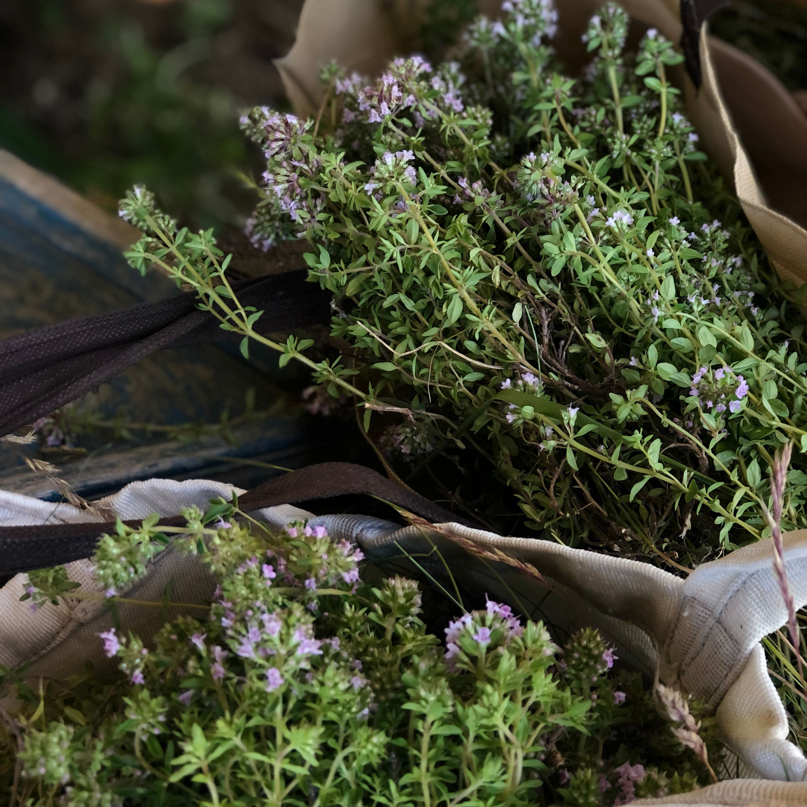 Thyme Candle