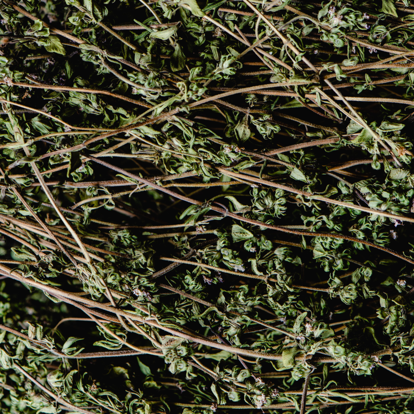 Thyme Candle