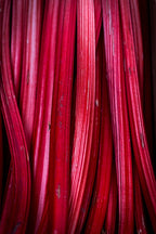 Pink Rhubarb Candle