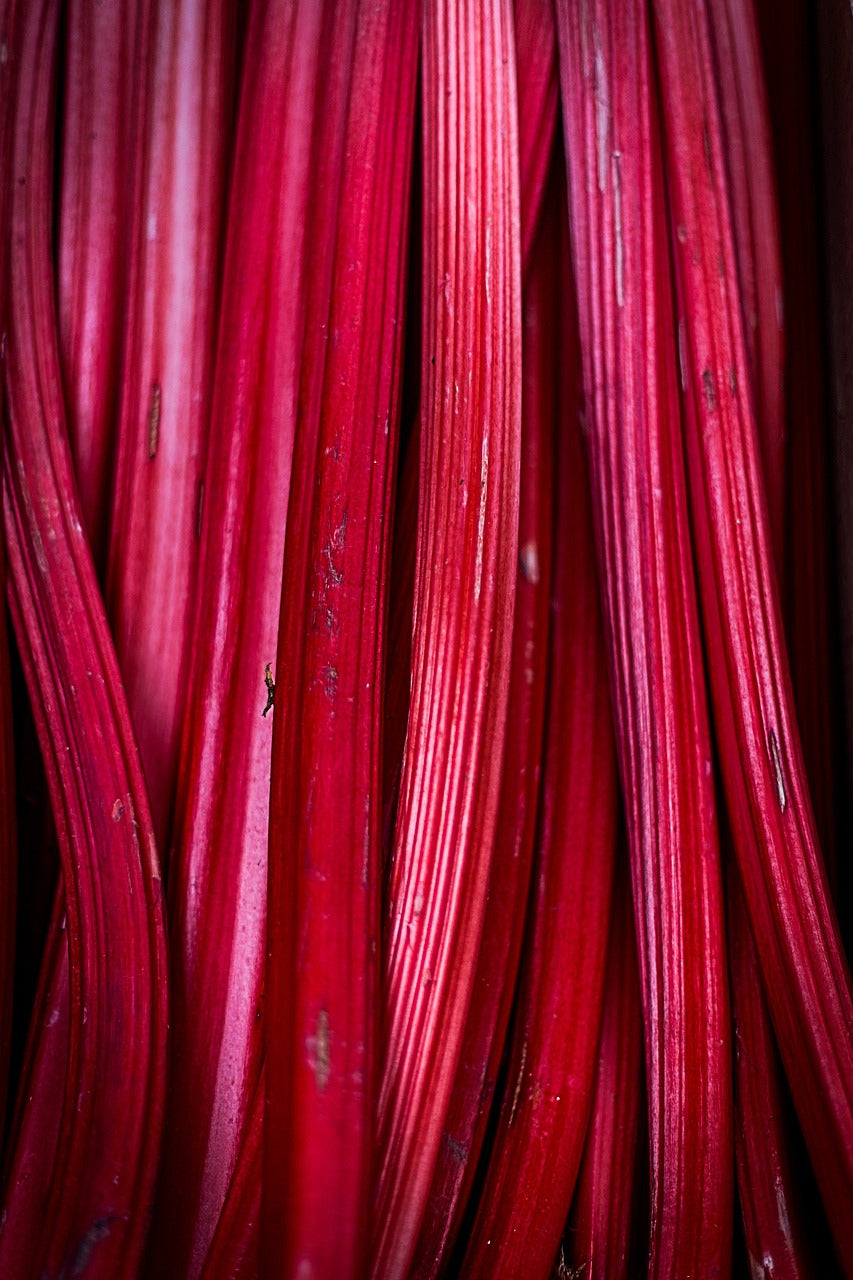 Pink Rhubarb Candle